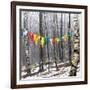 Prayer Flags, Woodstock, NY-Kelly Sinclair-Framed Photographic Print