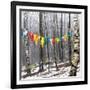 Prayer Flags, Woodstock, NY-Kelly Sinclair-Framed Photographic Print