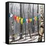 Prayer Flags, Woodstock, NY-Kelly Sinclair-Framed Stretched Canvas