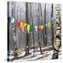 Prayer Flags, Woodstock, NY-Kelly Sinclair-Stretched Canvas