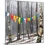 Prayer Flags, Woodstock, NY-Kelly Sinclair-Mounted Photographic Print