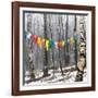 Prayer Flags, Woodstock, NY-Kelly Sinclair-Framed Photographic Print