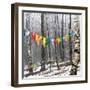 Prayer Flags, Woodstock, NY-Kelly Sinclair-Framed Photographic Print