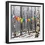 Prayer Flags, Woodstock, NY-Kelly Sinclair-Framed Photographic Print