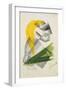 Prayer Ii, C.1913 (Lithograph)-Kazimir Severinovich Malevich-Framed Giclee Print