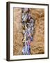 Prayer Papers Stuffed into the Western Wall, Jerusalem, Israel, Middle East-Michael DeFreitas-Framed Photographic Print