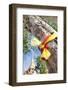 Prayer Ribbon, Karon Beach, Buddhist Temple, Phuket Island, Phuket, Thailand, Southeast Asia, Asia-Andrew Stewart-Framed Photographic Print