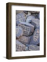 Prayer Stones at Hundar Monastery-Guido Cozzi-Framed Photographic Print