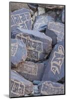 Prayer Stones at Hundar Monastery-Guido Cozzi-Mounted Photographic Print
