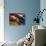 Prayer Wheels and Flags, Lhasa, Tibet-Keren Su-Stretched Canvas displayed on a wall