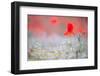 Prayer-Marco Carmassi-Framed Photographic Print