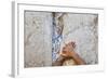 Prayers in the Western Wall-Jon Hicks-Framed Photographic Print