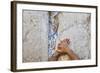 Prayers in the Western Wall-Jon Hicks-Framed Photographic Print