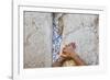 Prayers in the Western Wall-Jon Hicks-Framed Photographic Print