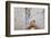 Prayers in the Western Wall-Jon Hicks-Framed Photographic Print