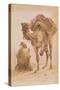 Praying Arab with a Secured Camel-Ippolito Caffi-Stretched Canvas