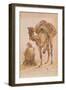 Praying Arab with a Secured Camel-Ippolito Caffi-Framed Giclee Print