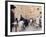 Praying at the Western (Wailing) Wall, Old Walled City, Jerusalem, Israel, Middle East-Christian Kober-Framed Photographic Print