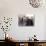 Praying at the Western (Wailing) Wall, Old Walled City, Jerusalem, Israel, Middle East-Christian Kober-Photographic Print displayed on a wall