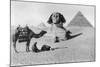 Praying before a Sphinx, Cairo, Egypt, C1920s-null-Mounted Giclee Print