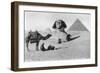 Praying before a Sphinx, Cairo, Egypt, C1920s-null-Framed Premium Giclee Print