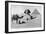 Praying before a Sphinx, Cairo, Egypt, C1920s-null-Framed Premium Giclee Print