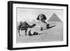 Praying before a Sphinx, Cairo, Egypt, C1920s-null-Framed Premium Giclee Print