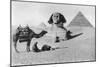 Praying before a Sphinx, Cairo, Egypt, C1920s-null-Mounted Premium Giclee Print