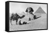 Praying before a Sphinx, Cairo, Egypt, C1920s-null-Framed Stretched Canvas