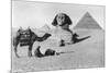 Praying before a Sphinx, Cairo, Egypt, C1920s-null-Mounted Giclee Print
