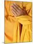 Praying Buddhist Monk, Thiais, Vale De Marne, France, Europe-null-Mounted Photographic Print