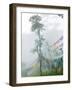 Praying Flags in the Dochula Pass, Between Wangdi and Thimphu, Bhutan-Keren Su-Framed Photographic Print