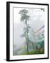 Praying Flags in the Dochula Pass, Between Wangdi and Thimphu, Bhutan-Keren Su-Framed Photographic Print