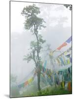 Praying Flags in the Dochula Pass, Between Wangdi and Thimphu, Bhutan-Keren Su-Mounted Photographic Print