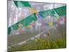 Praying Flags in the Dochula Pass, Between Wangdi and Thimphu, Bhutan-Keren Su-Mounted Photographic Print