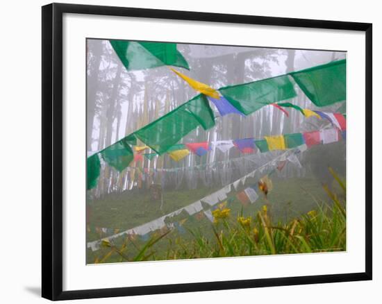 Praying Flags in the Dochula Pass, Between Wangdi and Thimphu, Bhutan-Keren Su-Framed Photographic Print