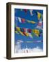 Praying Flags in the Tang Valley, Bumthang, Bhutan-Keren Su-Framed Photographic Print