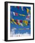 Praying Flags in the Tang Valley, Bumthang, Bhutan-Keren Su-Framed Photographic Print