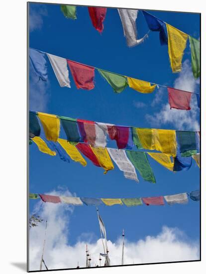 Praying Flags in the Tang Valley, Bumthang, Bhutan-Keren Su-Mounted Photographic Print