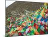 Praying Flags with Mt. Quer Shan, Tibet-Sichuan, China-Keren Su-Mounted Photographic Print