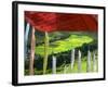 Praying Flags with Village and Farmlands at Pepe La Pass, Phobjikha Valley, Gangtey, Bhutan-Keren Su-Framed Photographic Print