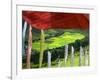 Praying Flags with Village and Farmlands at Pepe La Pass, Phobjikha Valley, Gangtey, Bhutan-Keren Su-Framed Photographic Print