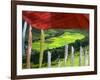 Praying Flags with Village and Farmlands at Pepe La Pass, Phobjikha Valley, Gangtey, Bhutan-Keren Su-Framed Photographic Print