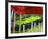 Praying Flags with Village and Farmlands at Pepe La Pass, Phobjikha Valley, Gangtey, Bhutan-Keren Su-Framed Photographic Print