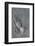 Praying Hands by Albrecht Durer-Fine Art-Framed Photographic Print