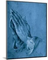 Praying Hands-Albrecht Dürer-Mounted Premium Giclee Print