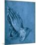 Praying Hands-Albrecht Dürer-Mounted Premium Giclee Print