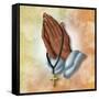 Praying Hands-Marcus Prime-Framed Stretched Canvas