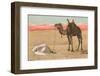 Praying in the Desert-null-Framed Photographic Print