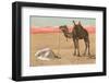 Praying in the Desert-null-Framed Photographic Print